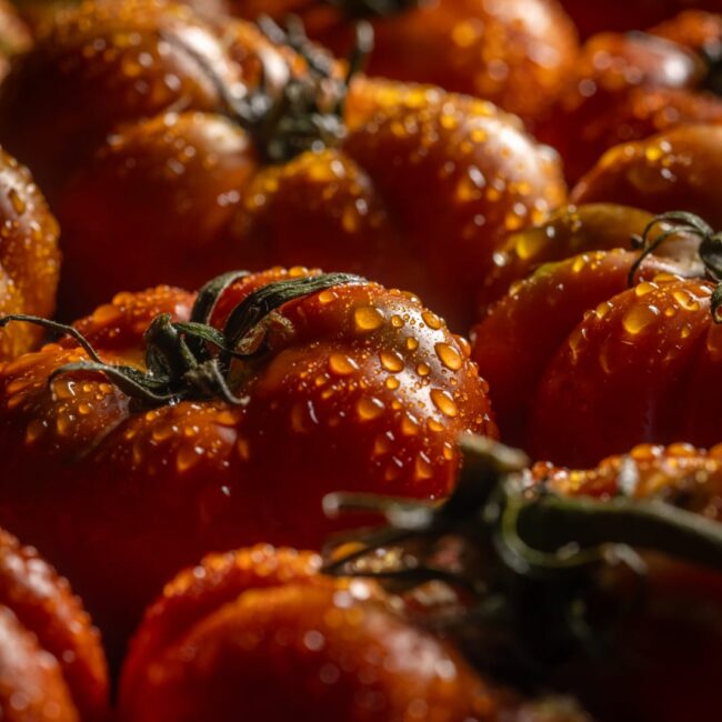 WhatsApp Image 2025-09-25 at 14.56.31