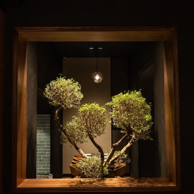 WhatsApp Image 2025-09-25 at 14.56.33 (1)